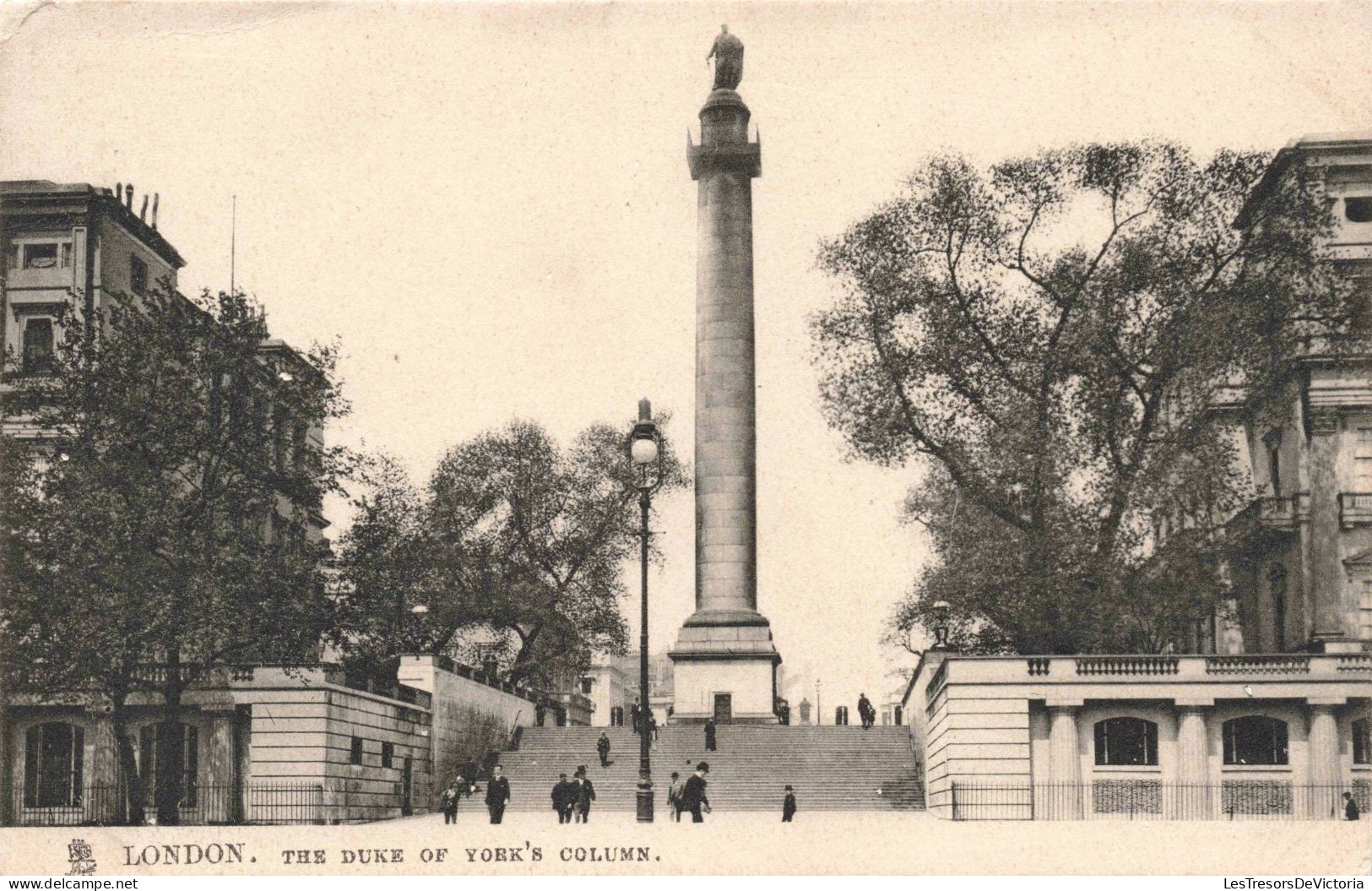 ROYAUME UNI - London - The Duke Of York's Column - Carte Postale Ancienne - Autres & Non Classés