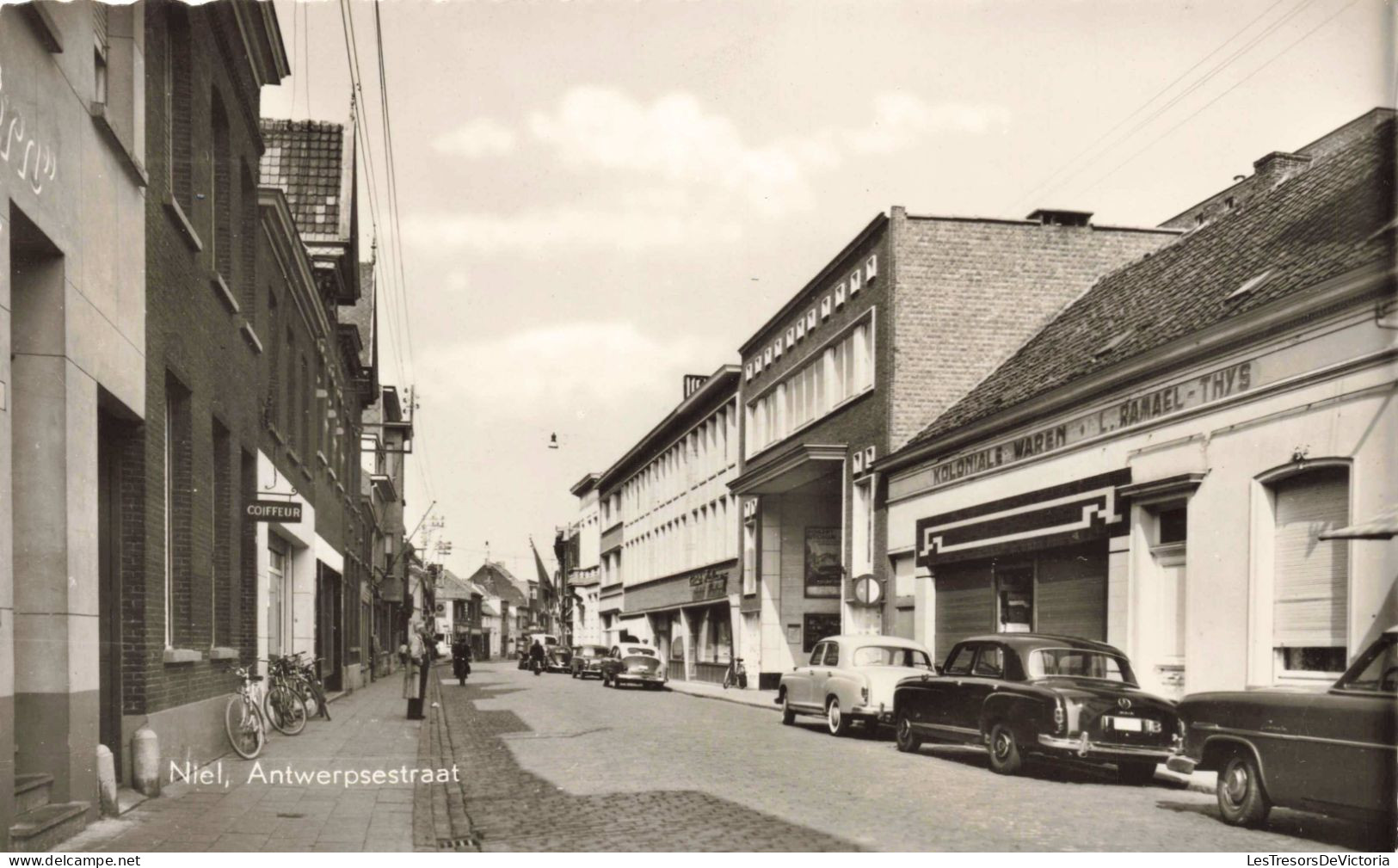 BELGIQUE - Niel - Antwerpsestraat - Carte Postale Ancienne - Niel