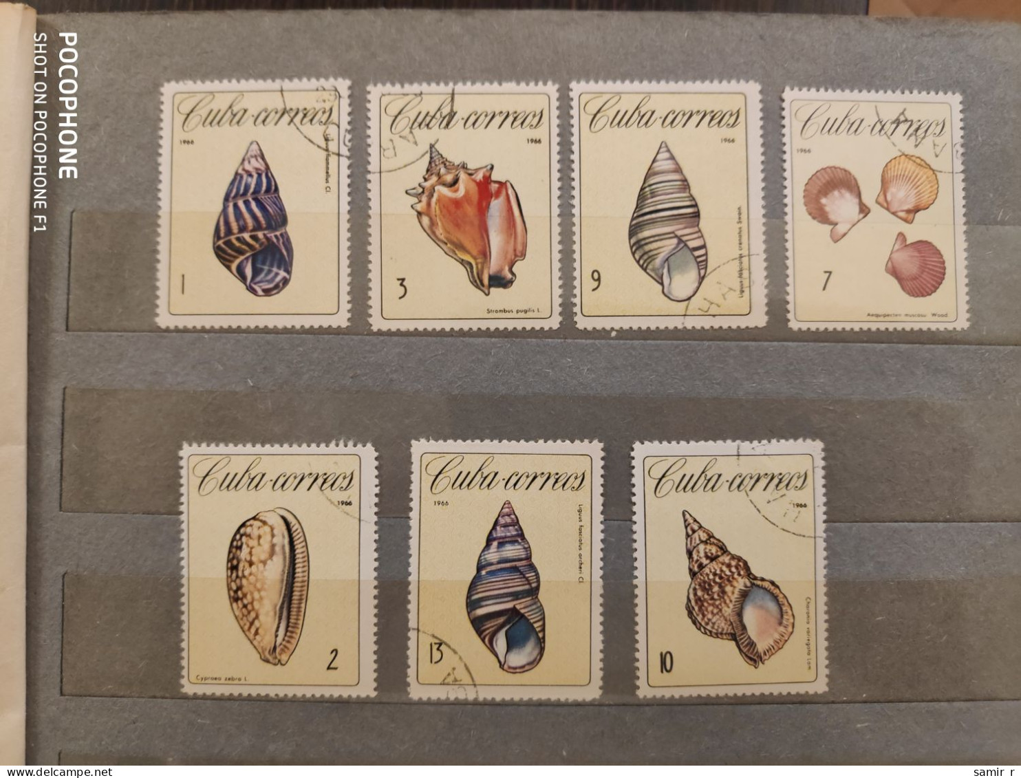 1966	Cuba	Shells (F49) - Gebraucht