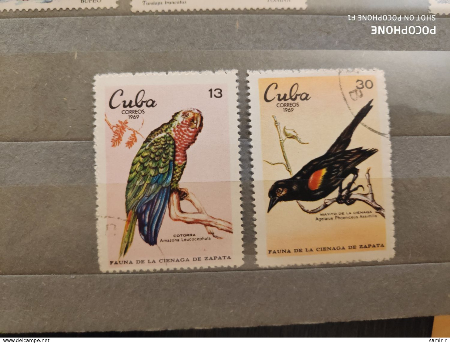 1969	Cuba	Birds (F49) - Gebruikt