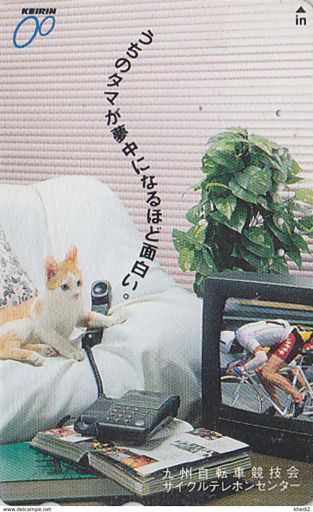 Télécarte JAPON / 110-011 - ANIMAL - CHAT & VELO - CAT & BIKE JAPAN Phonecard - KATZE - GATO - KAT - 4066 - Katzen