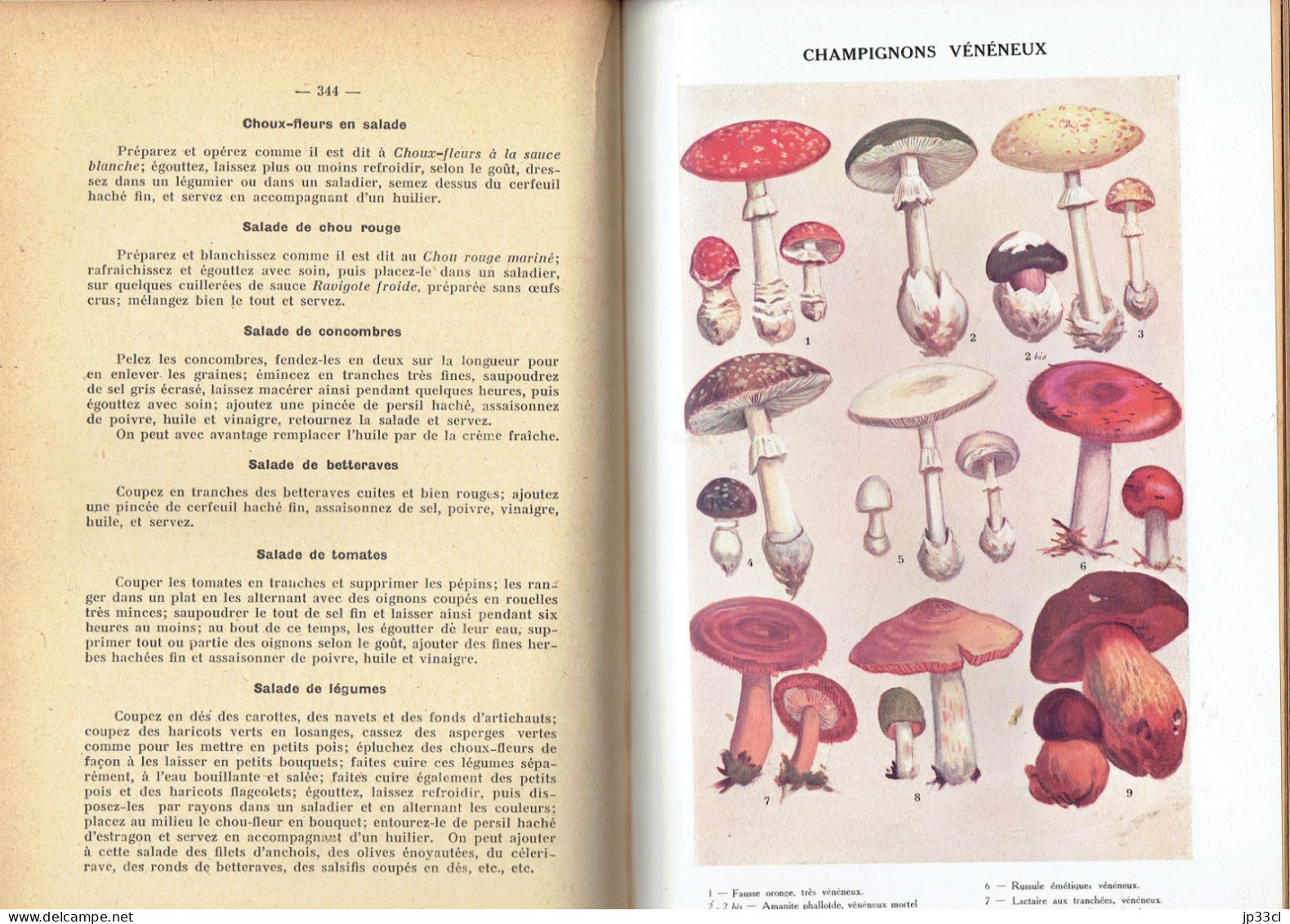 La Cuisine Moderne Illustrée (Collectif, Éd. Aristide Quillet, Sans Date, 602 Pages) - Encyclopédies