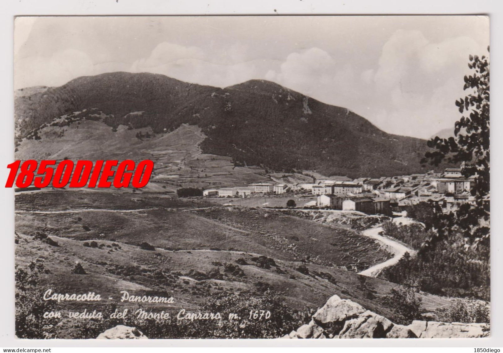 CAPRACOTTA - PANORAMA CON VEDUTA DEL MONTE CAPRARO F/GRANDE  VIAGGIATA - Isernia