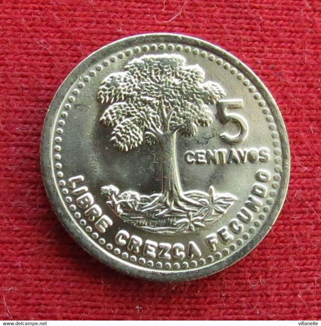 Guatemala 5 Centavos 1994 UNC ºº - Guatemala