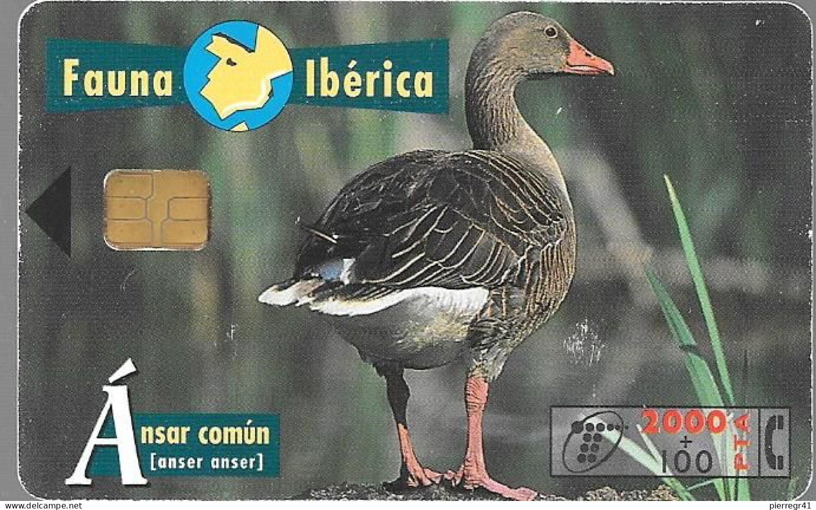CARTE-PUCE-ESPAGNE-03/98-OIE CENDREE-TBE - Gallináceos & Faisanes