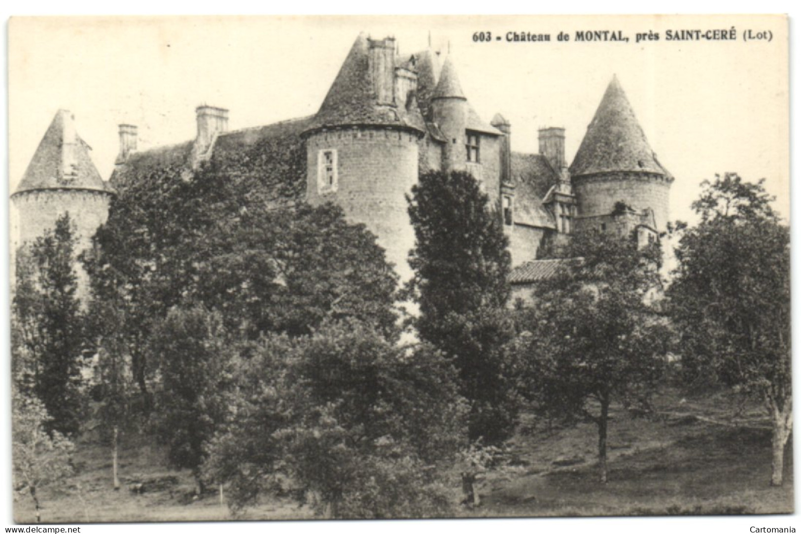 Château De Montal Près Saint-Céré - Saint-Céré