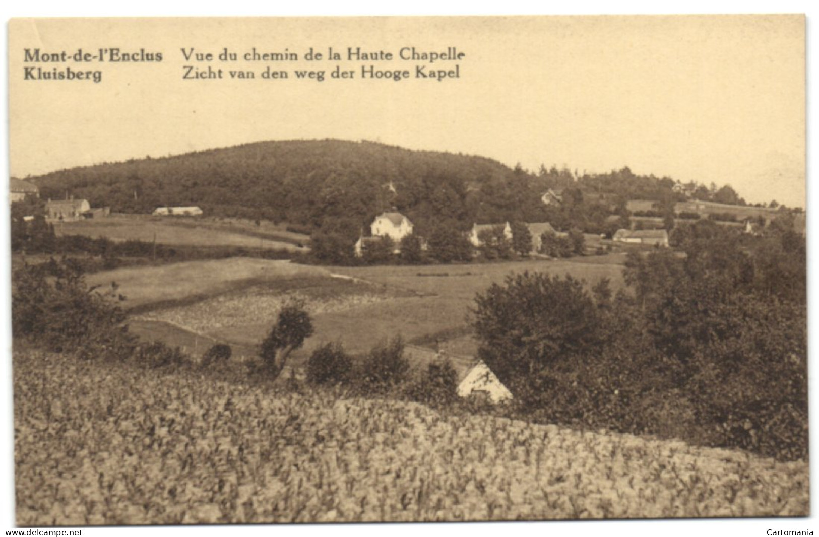 Kluisberg - Zicht Van Den Weg Der Hooge Kapel - Kluisbergen