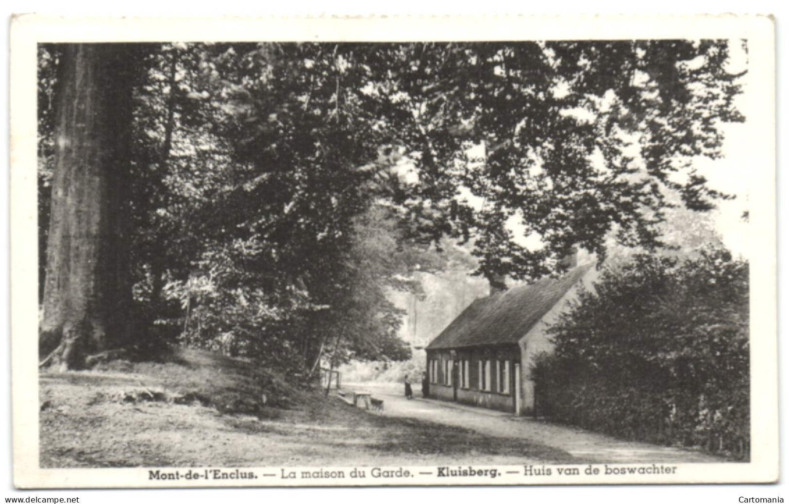 Kluisberg - Huis Van De Boswachter - Kluisbergen