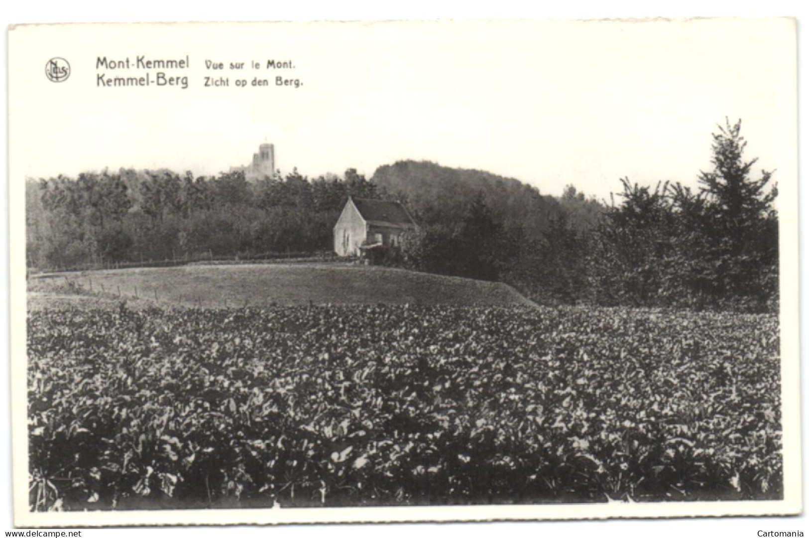 Kemmel-Berg - Zicht Op Den Berg - Hooglede