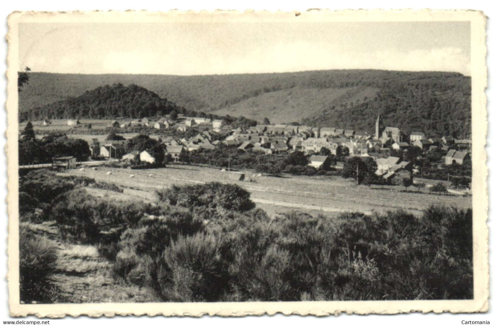 Herbeumont S/Semois - Vue De La Route De St-Médard - Herbeumont