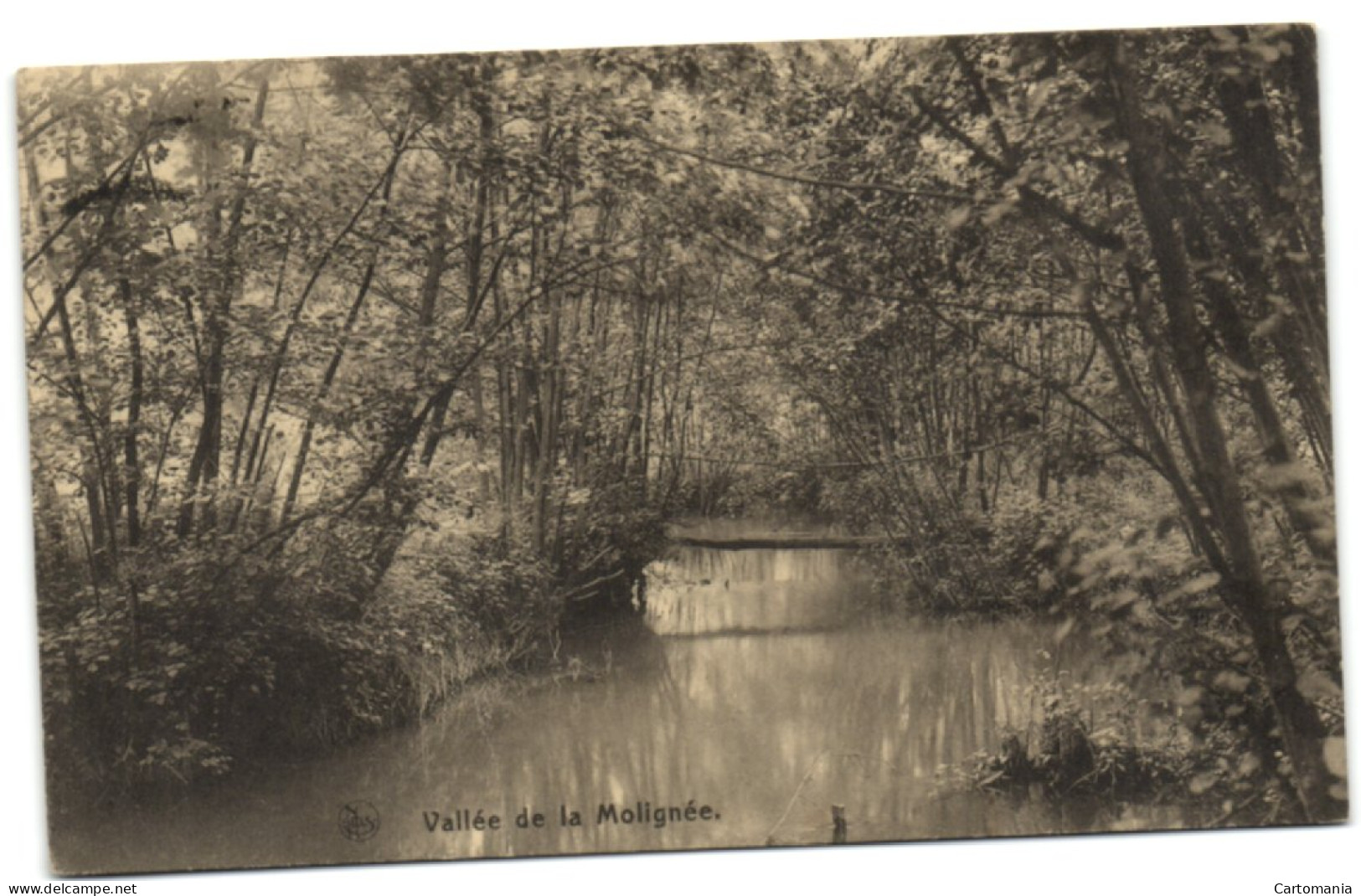 Vallé De La Molignée - Onhaye