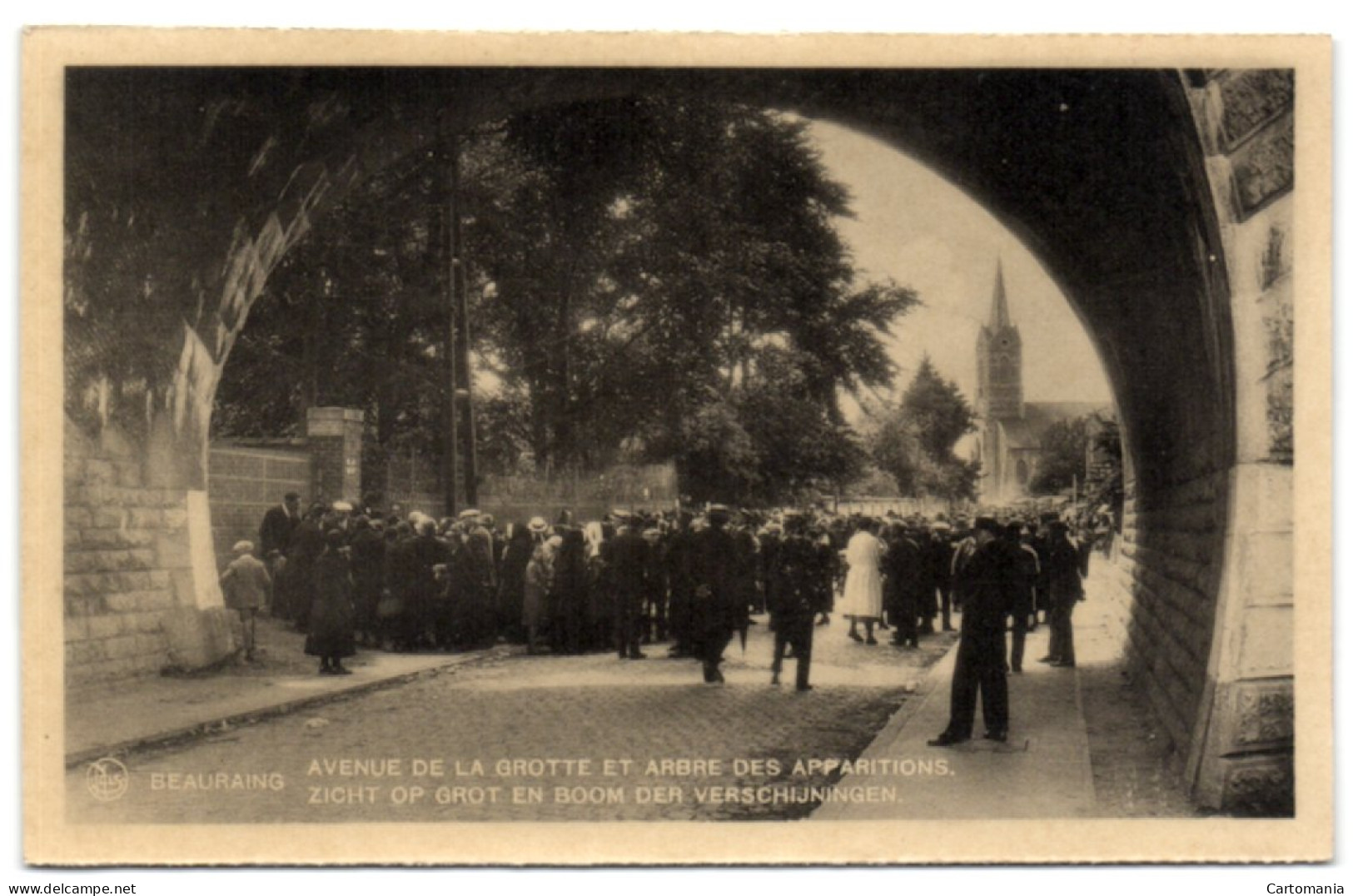 Beauraing - Avenue De La Grotte Et Arbre Des Apparitions - Beauraing