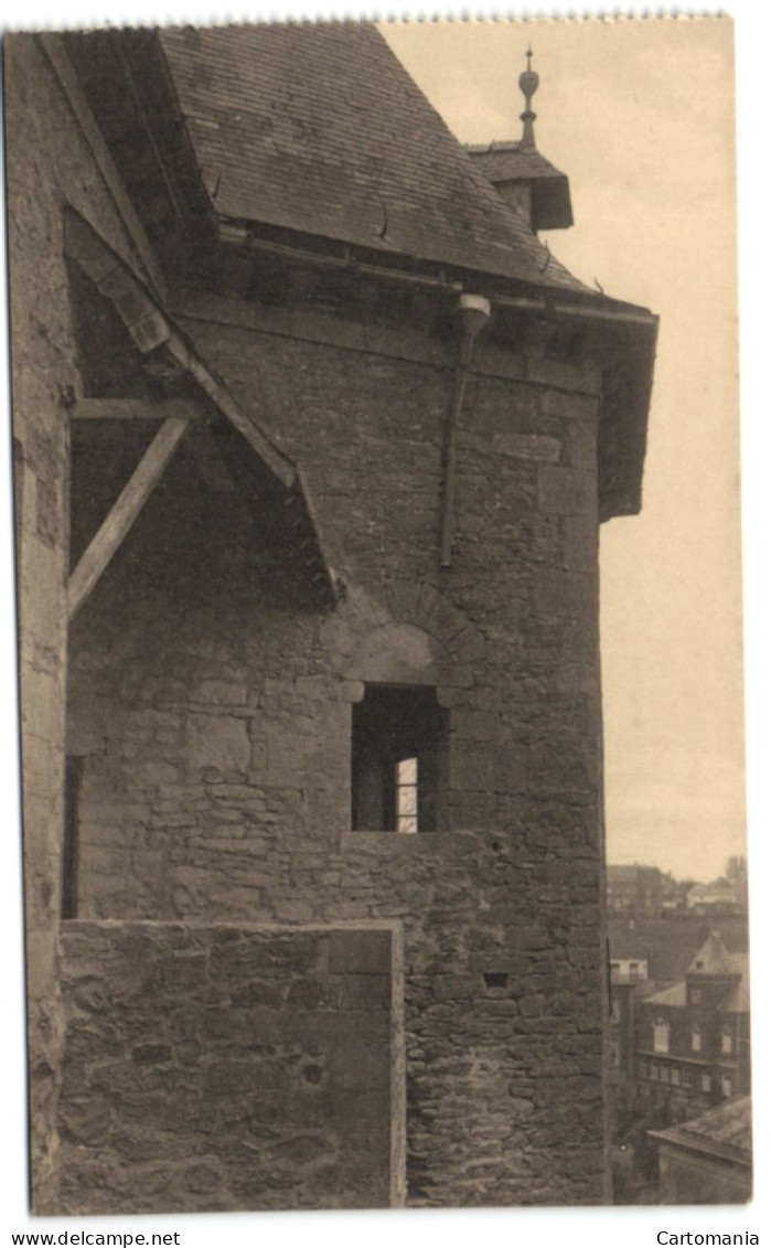 Vieux Château D'Ecaussines-Lalaing - Fenêtre Du XIIIe Siècle Découverte Dans Le Haut De La Tour Pentagonale - Ecaussinnes