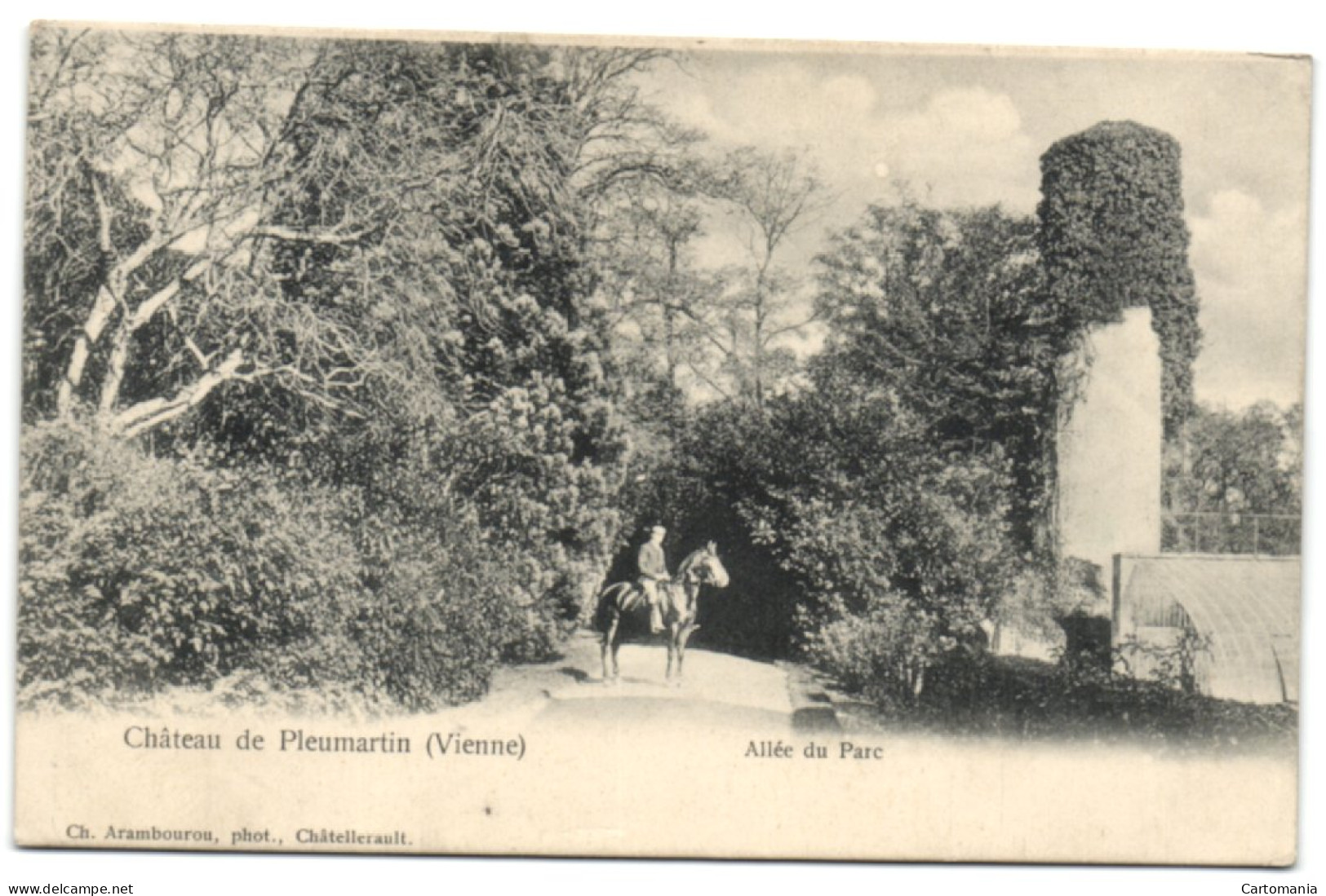 Château De Pleumartin (Vienne) Allée Du Parc - Pleumartin