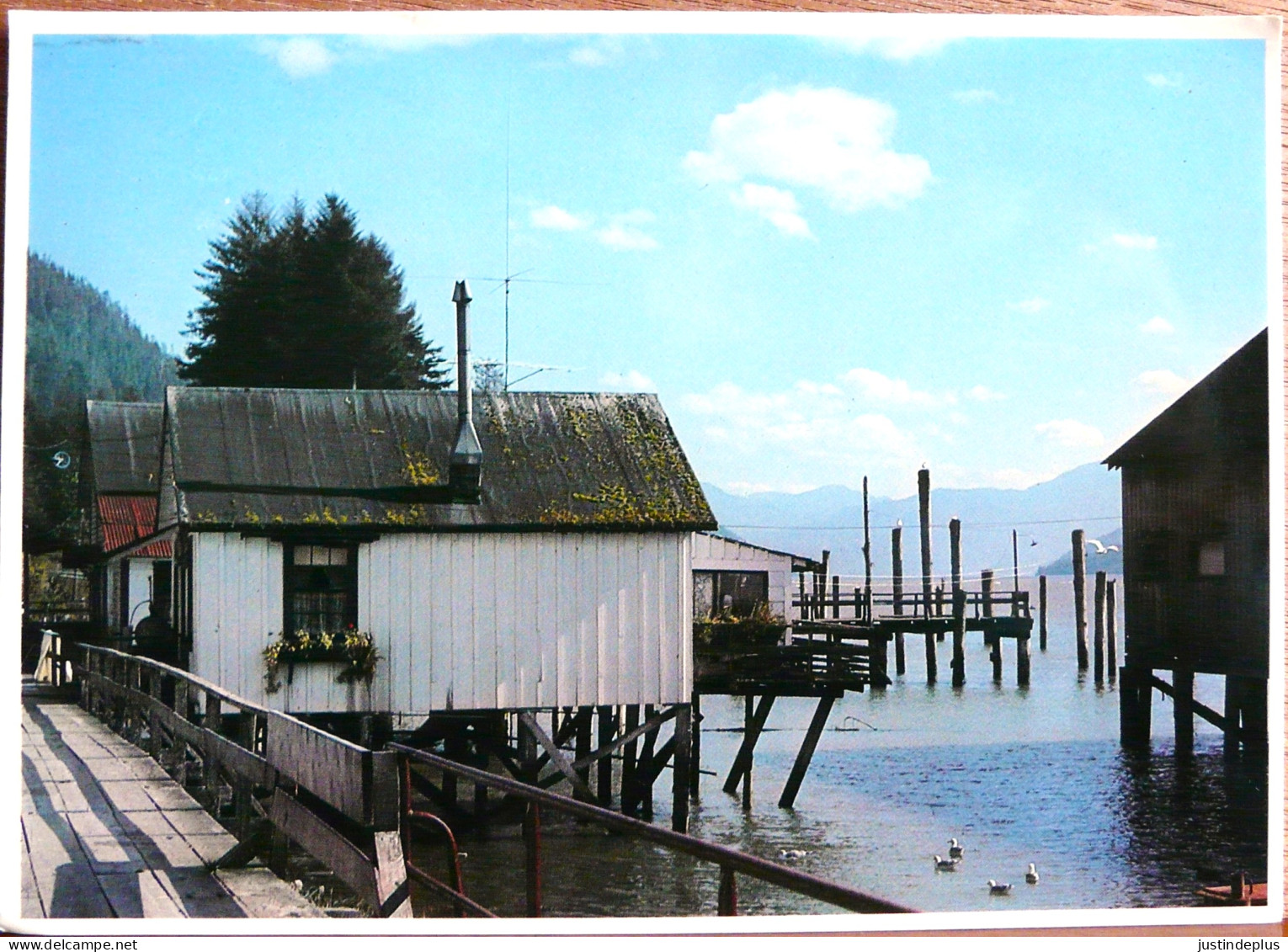 FISH CANNERY NEAR PRINCE RUPERT COLUMBIA CANADA CONSERVERIE - Prince Rupert