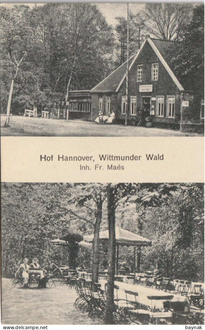 DE133  --  WITTMUNDER WALD  --  HOF HANNOVER  --  Inh. Fr. Maes  --   1908 - Wittmund