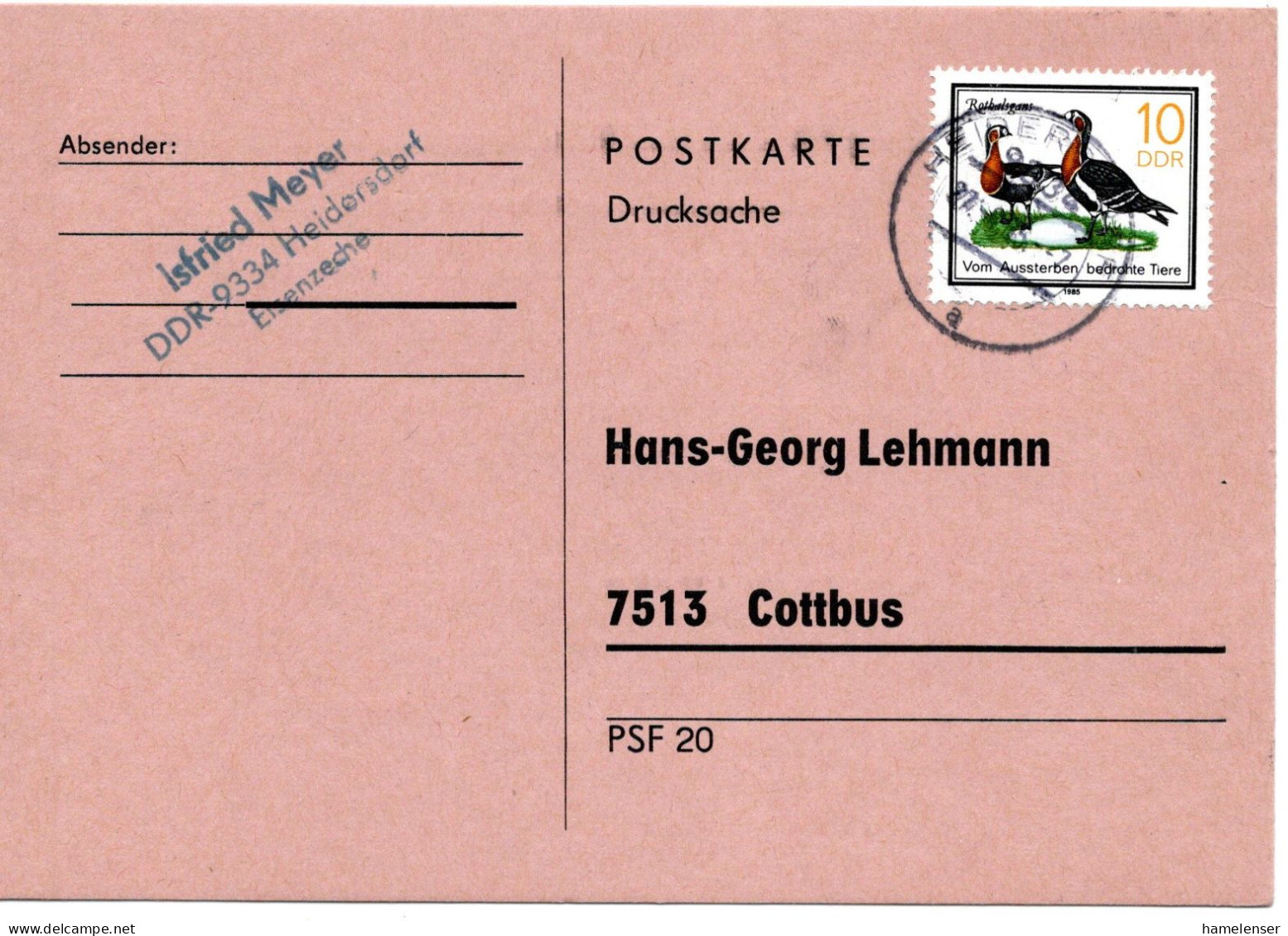 60269 - DDR - 1985 - 10Pfg Rothalsgans EF A Kte HEIDERSDORF -> Cottbus - Oche