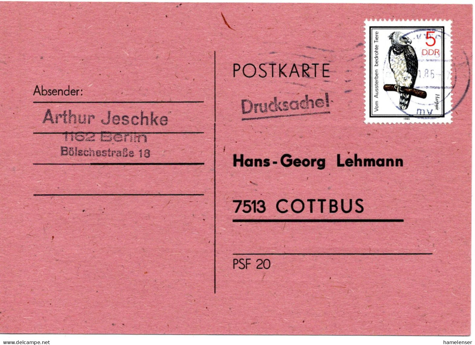 60271 - DDR - 1986 - 5Pfg Harpyie EF A DrucksKte KARL-MARX-STADT -> Cottbus - Arends & Roofvogels