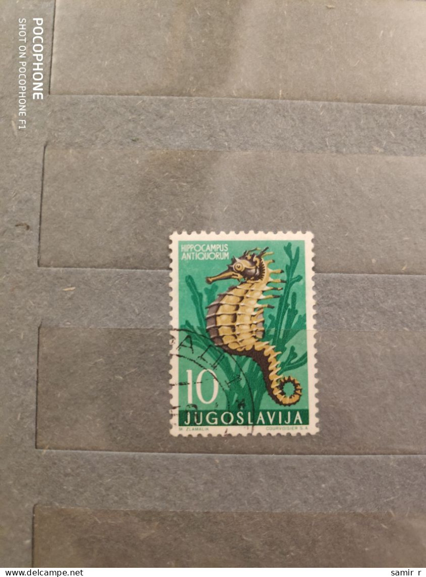 Yugoslavia	Fishes (F49) - Used Stamps