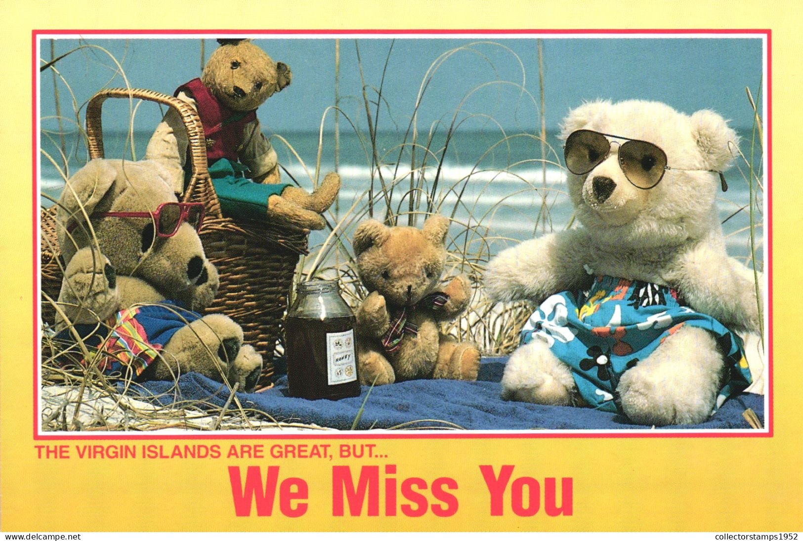 VIRGIN ISLANDS, PLUSH, TOYS, BEAR, ANTILLES - Britse Maagdeneilanden