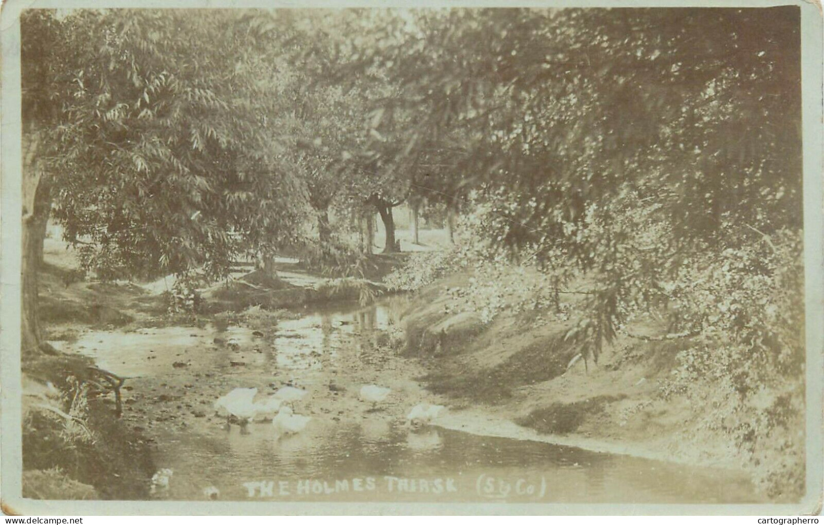 Newcastle-on-Tyne The Holmes Pond Ducks 1906 - Newcastle-upon-Tyne