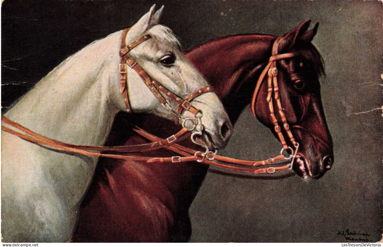 ANIMAUX & FAUNE - Chevaux - Colorisé - Carte Postale Ancienne - Pferde