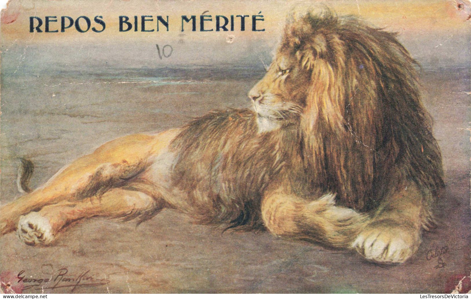 ANIMAUX & FAUNE - Lion - Repos Bien Mérité - Colorisé - Carte Postale Ancienne - Leones