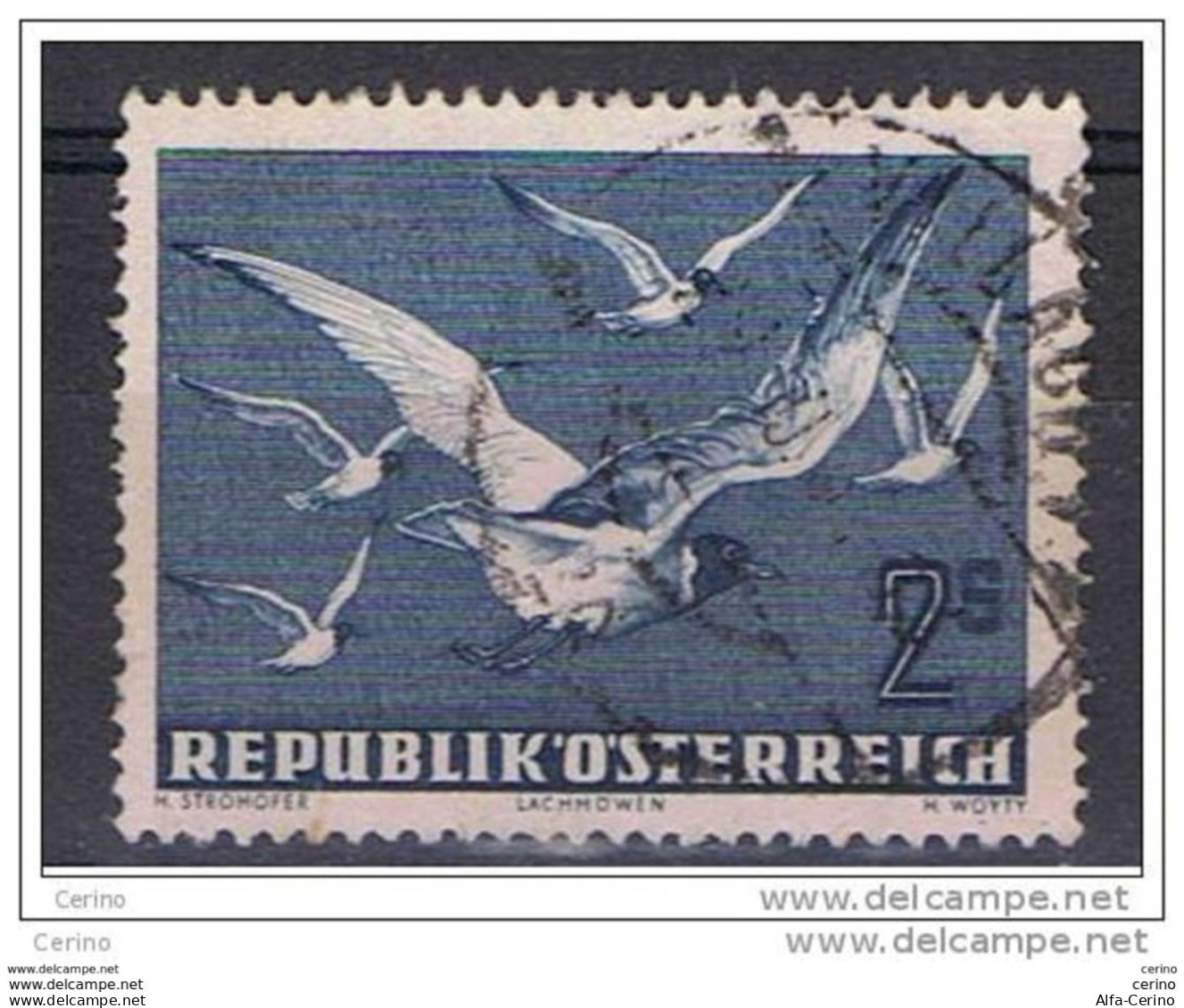 AUSTRIA:  1950/53  P.A. GABBIANI  IN  VOLO  -  1 S. BLU  GRIGIO  US. -  YV/TELL. 56 - Autres & Non Classés