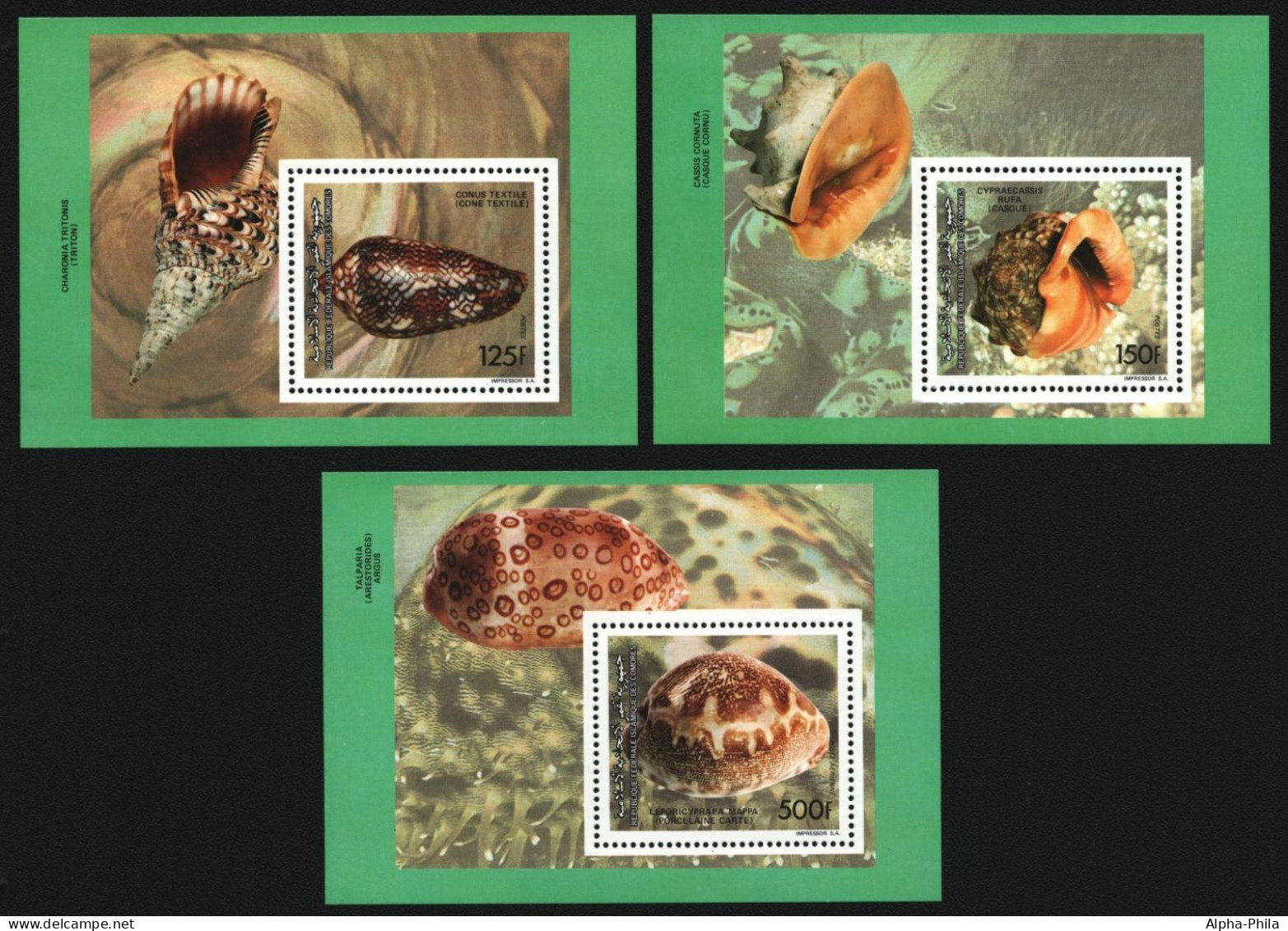 Komoren 1992 - Mi-Nr. Block 362-364 A ** - MNH - Meeresschnecken / Marine Snails - Comores (1975-...)