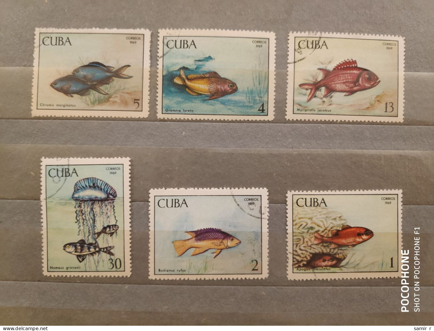 1969	Cuba	Fishes  (F51) - Usati