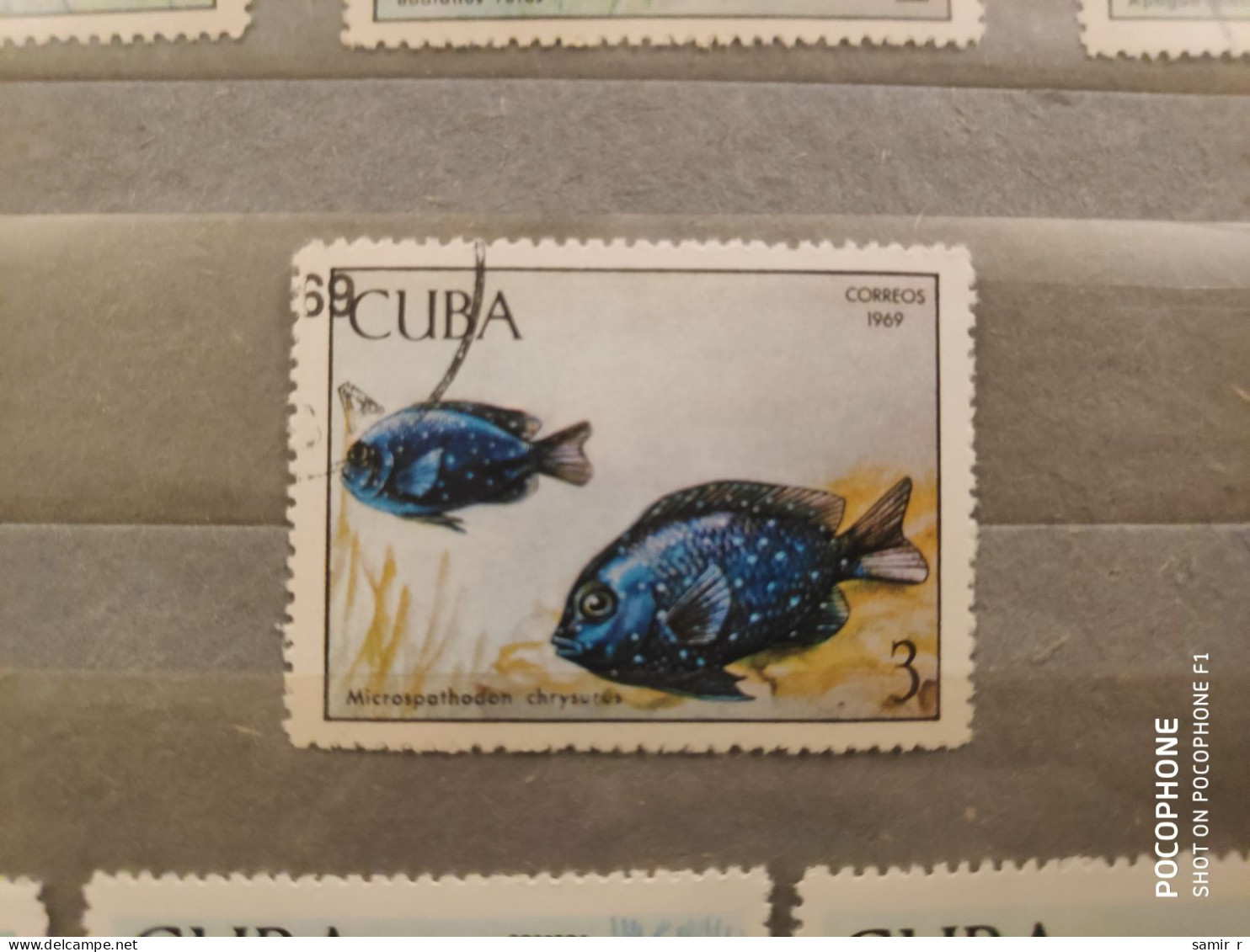 1969	Cuba	Fishes  (F51) - Used Stamps