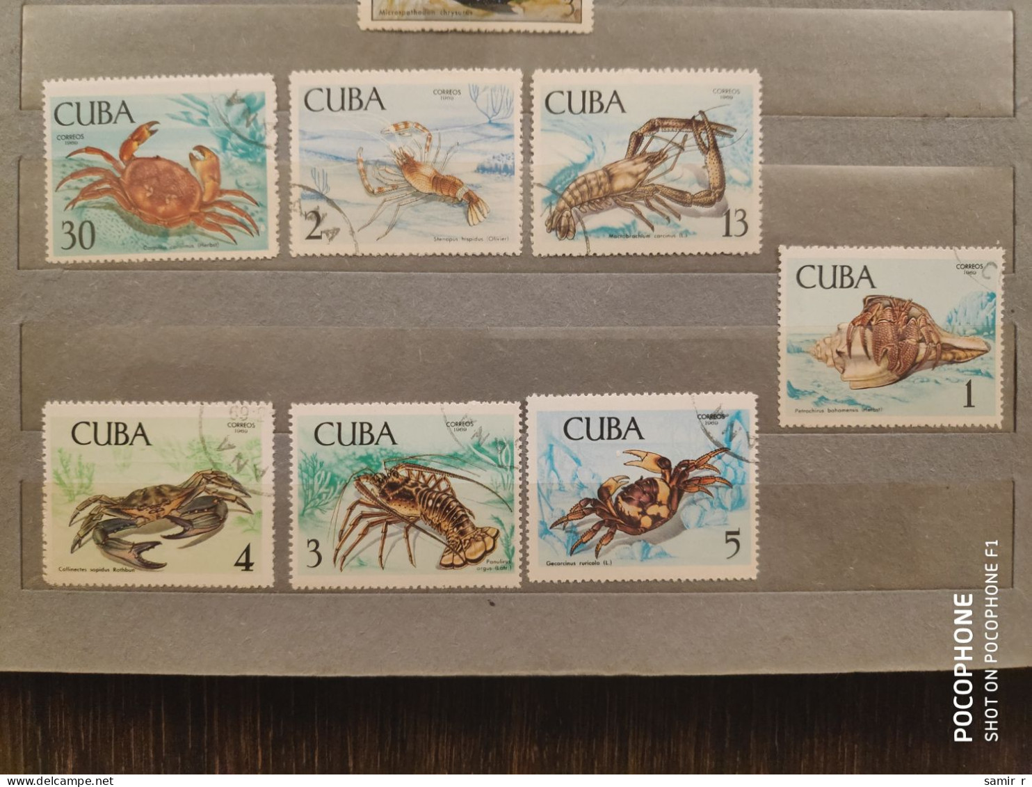 1969	Cuba	Crayfishes  (F51) - Gebruikt