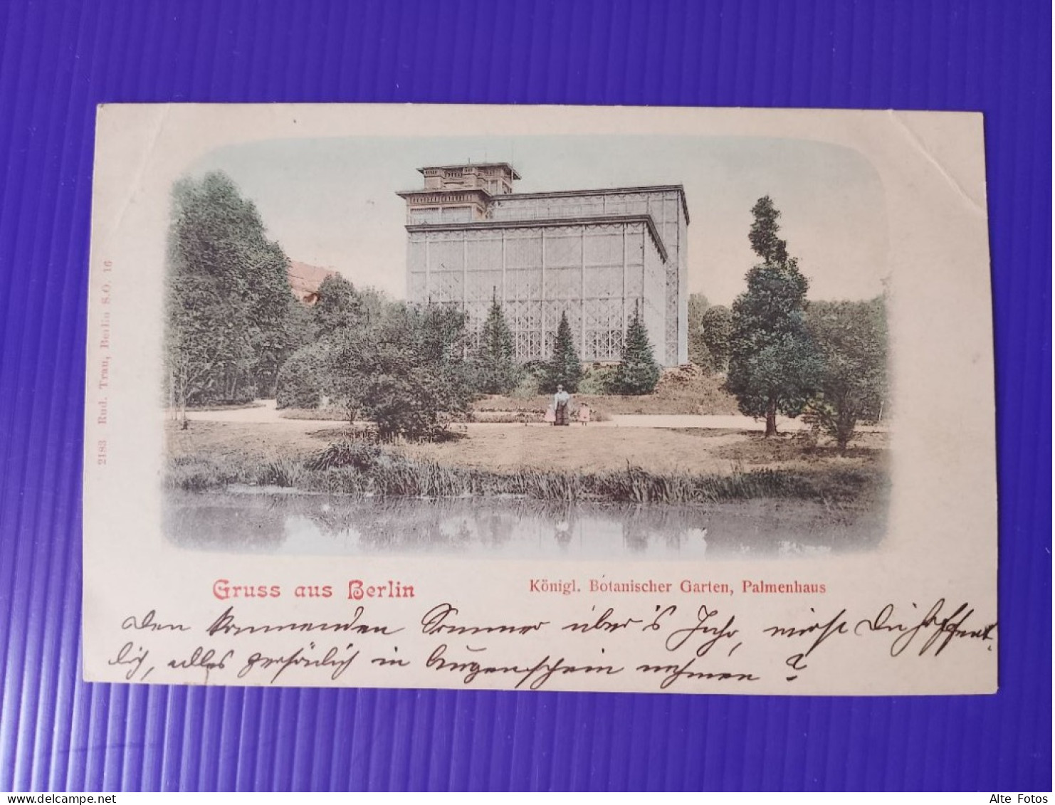 Alte AK Ansichtskarte Postkarte Berlin Lichterfelde Gruss Aus Litho Botanischer Garten Palmenhaus Deutsches Reich Alt Xx - Lichterfelde