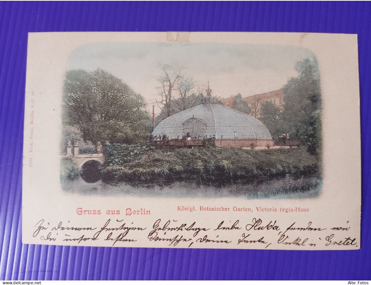 Alte AK Ansichtskarte Postkarte Gruss Aus Berlin Lichterfelde Botanischer Garten Victoria Regia Haus Deutsches Reich Alt - Lichterfelde