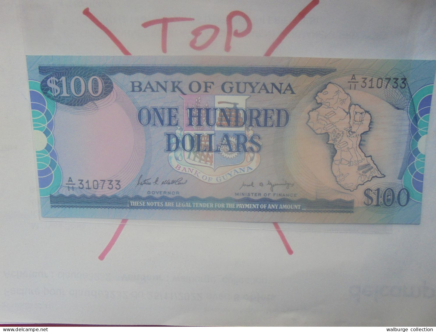 GUYANA 100$ 1989 Neuf (B.31) - Guyana