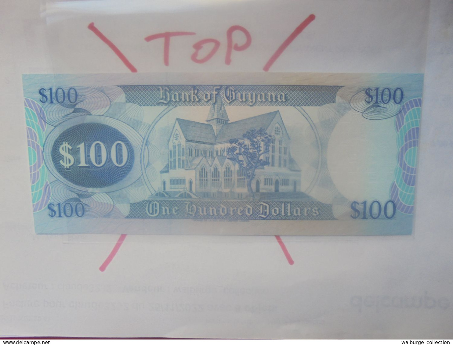 GUYANA 100$ 1989 Neuf (B.31) - Guyana