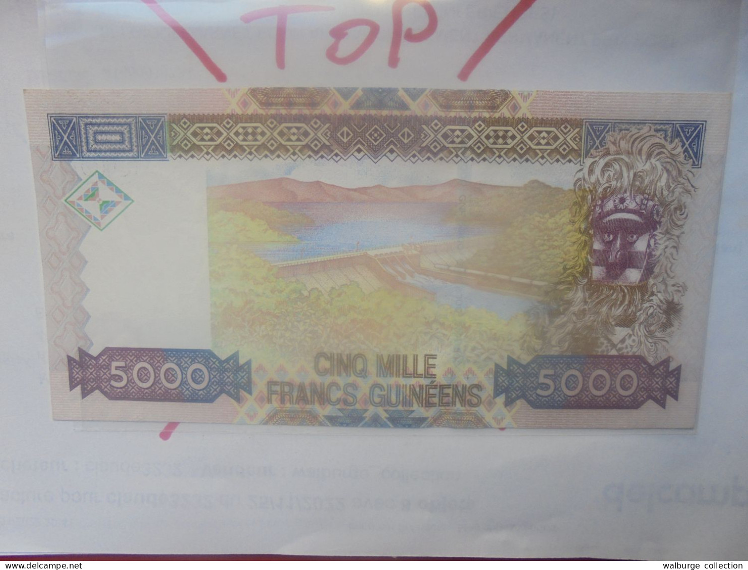 GUINEE 5000 FRANCS 2006 Neuf (B.31) - Guinée