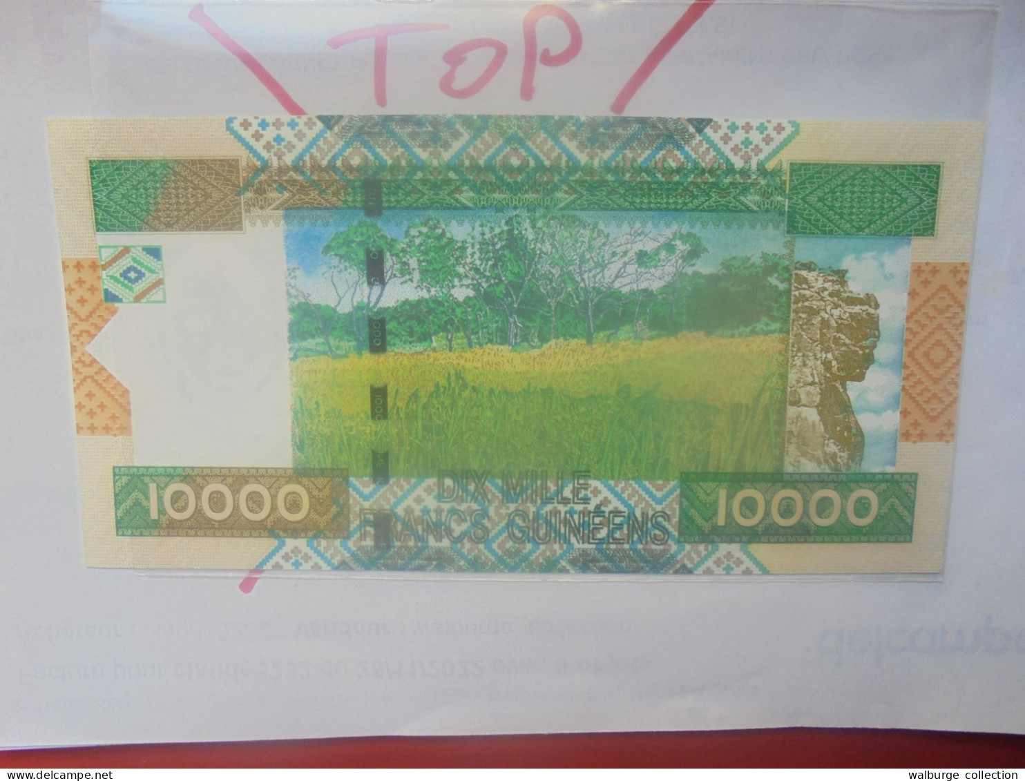 GUINEE 10.000 FRANCS 2010 Neuf (B.31) - Guinea