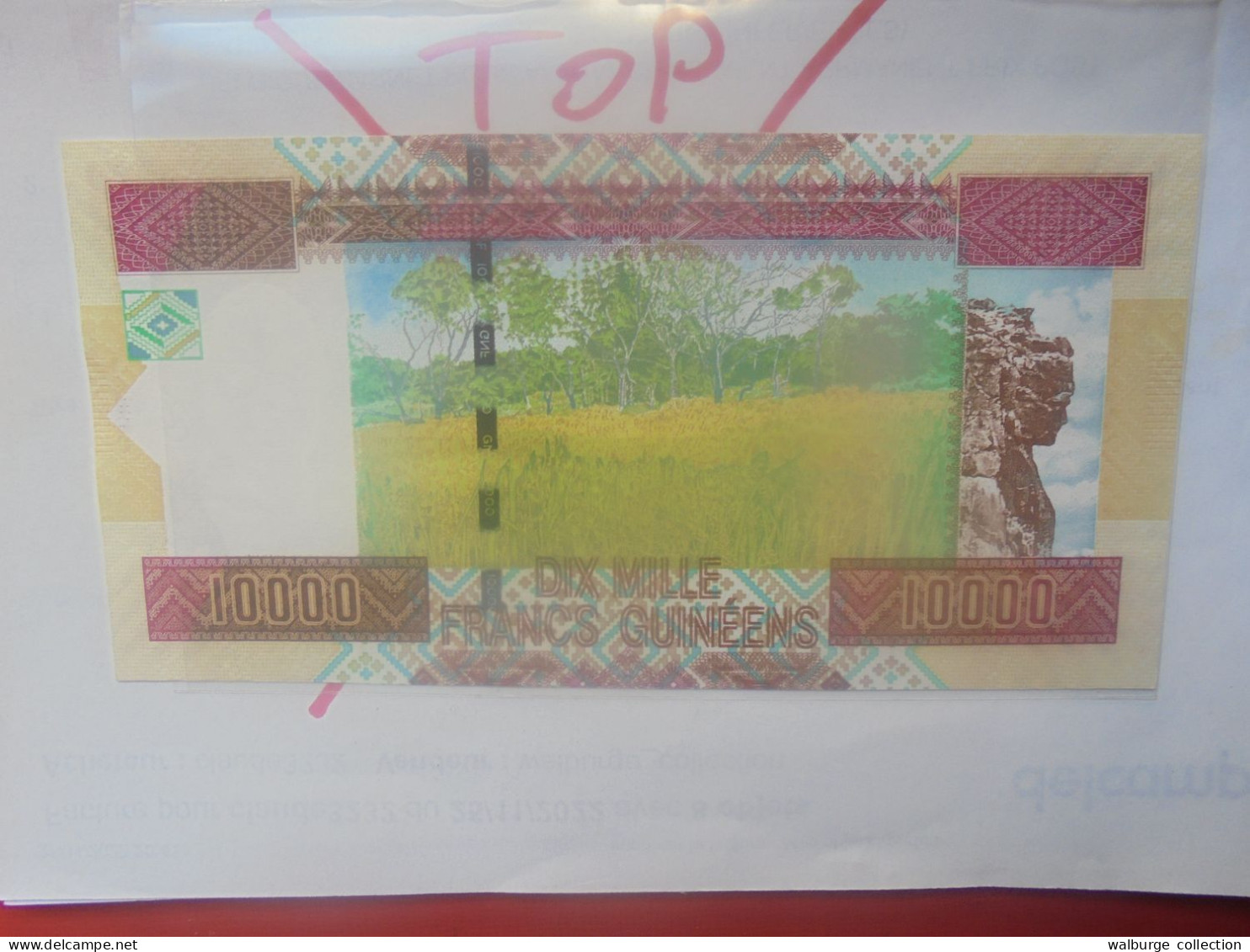 GUINEE 10.000 FRANCS 2012 Neuf (B.31) - Guinee