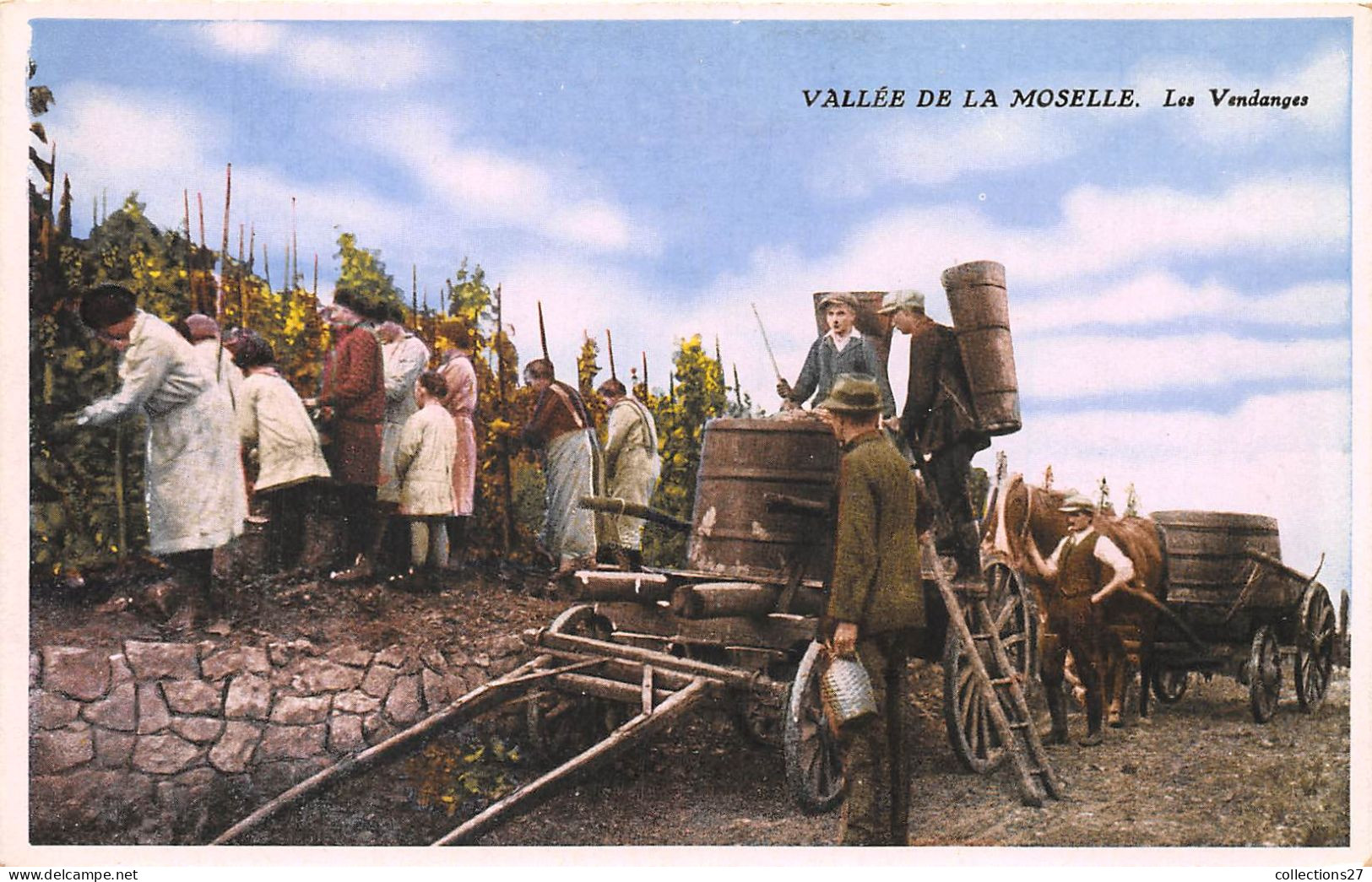 57-VALLEE DE LA MOSELLE- LES VENDANGES - Other & Unclassified