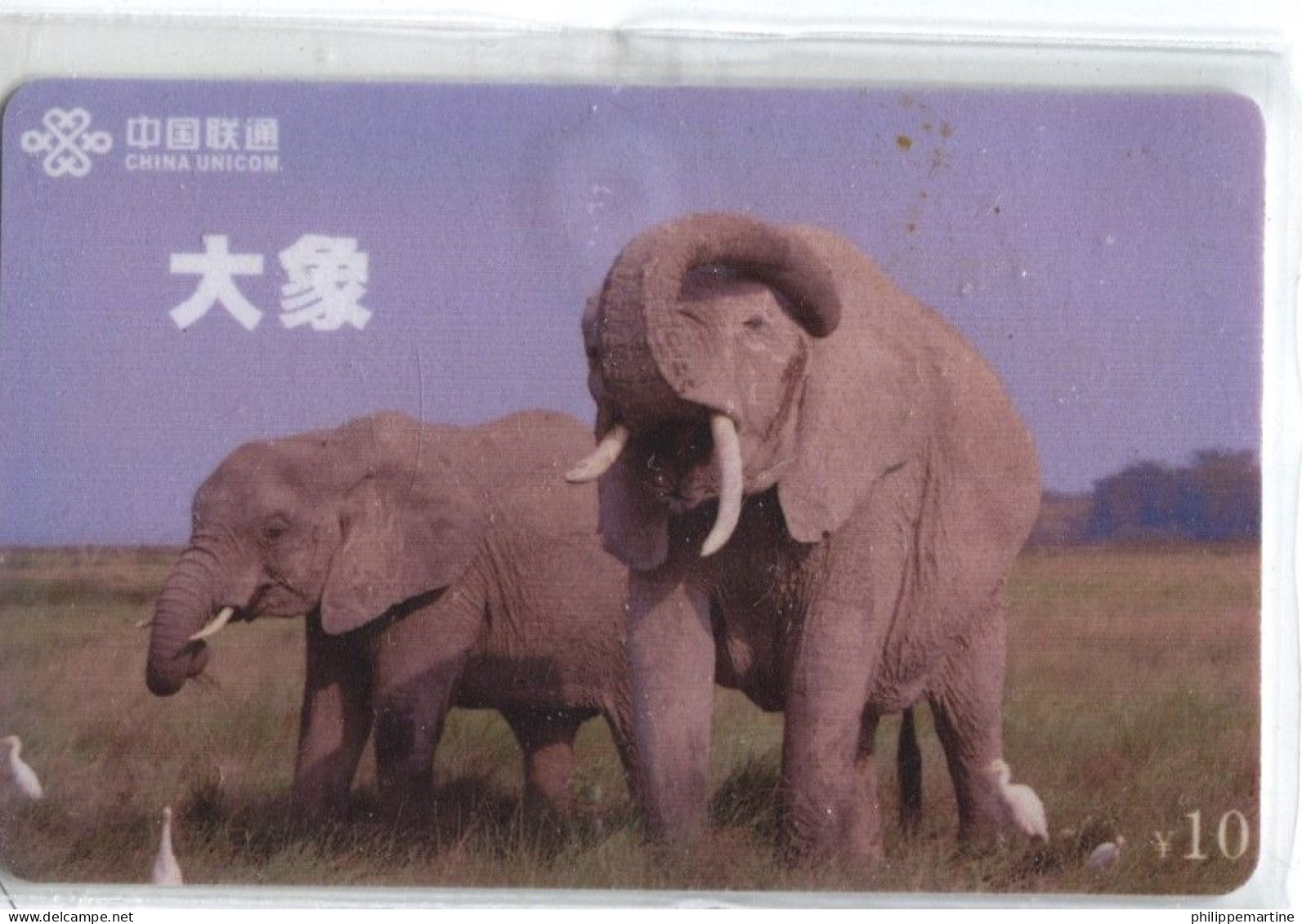 Télécarte China Unicom : Eléphants - Jungle