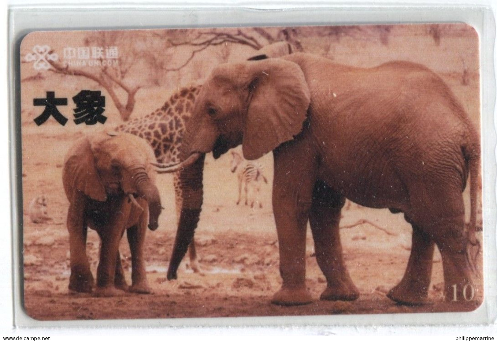 Télécarte China Unicom : Eléphants - Jungle