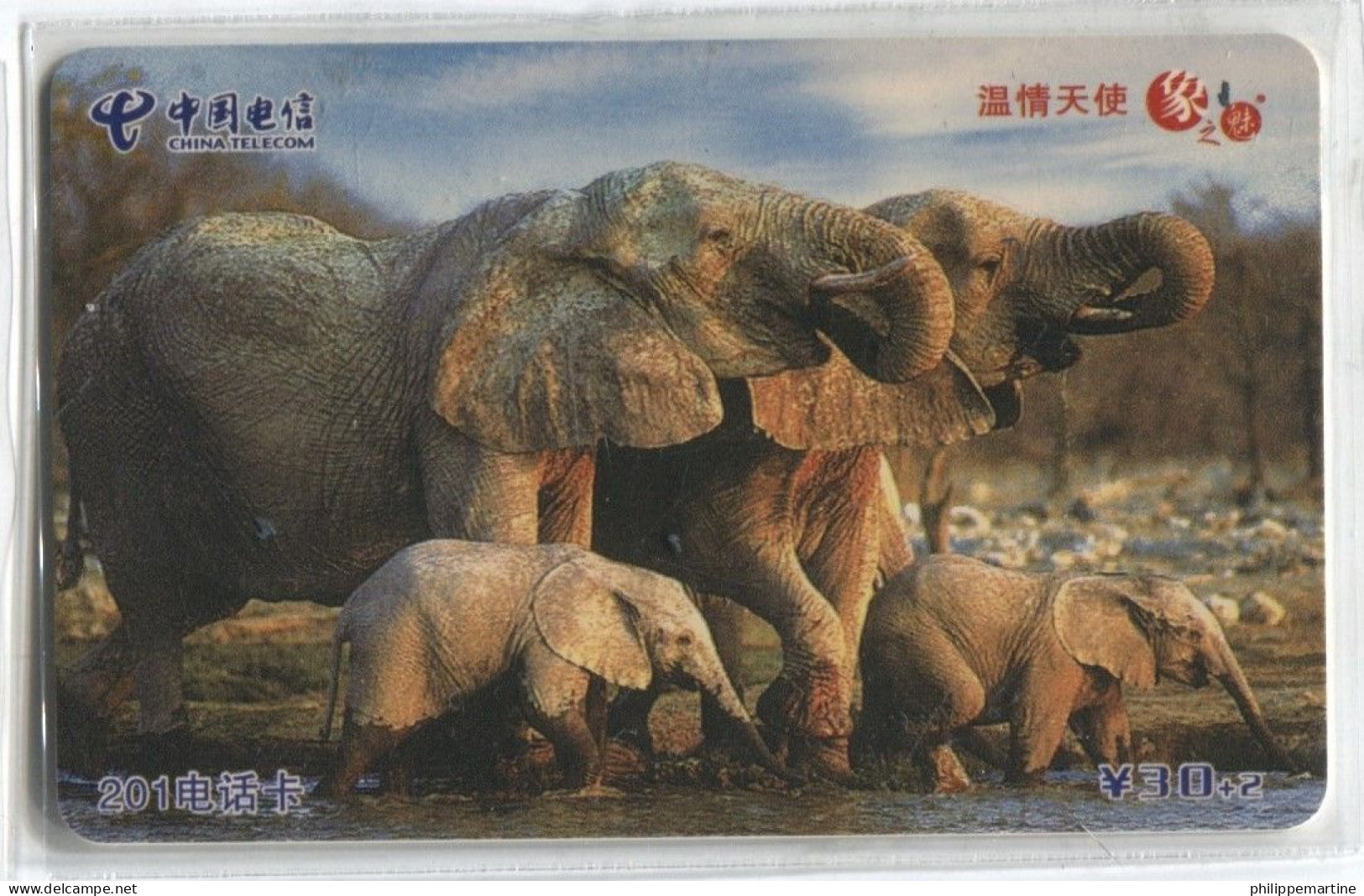 Télécarte China Telecom : Eléphants - Jungle