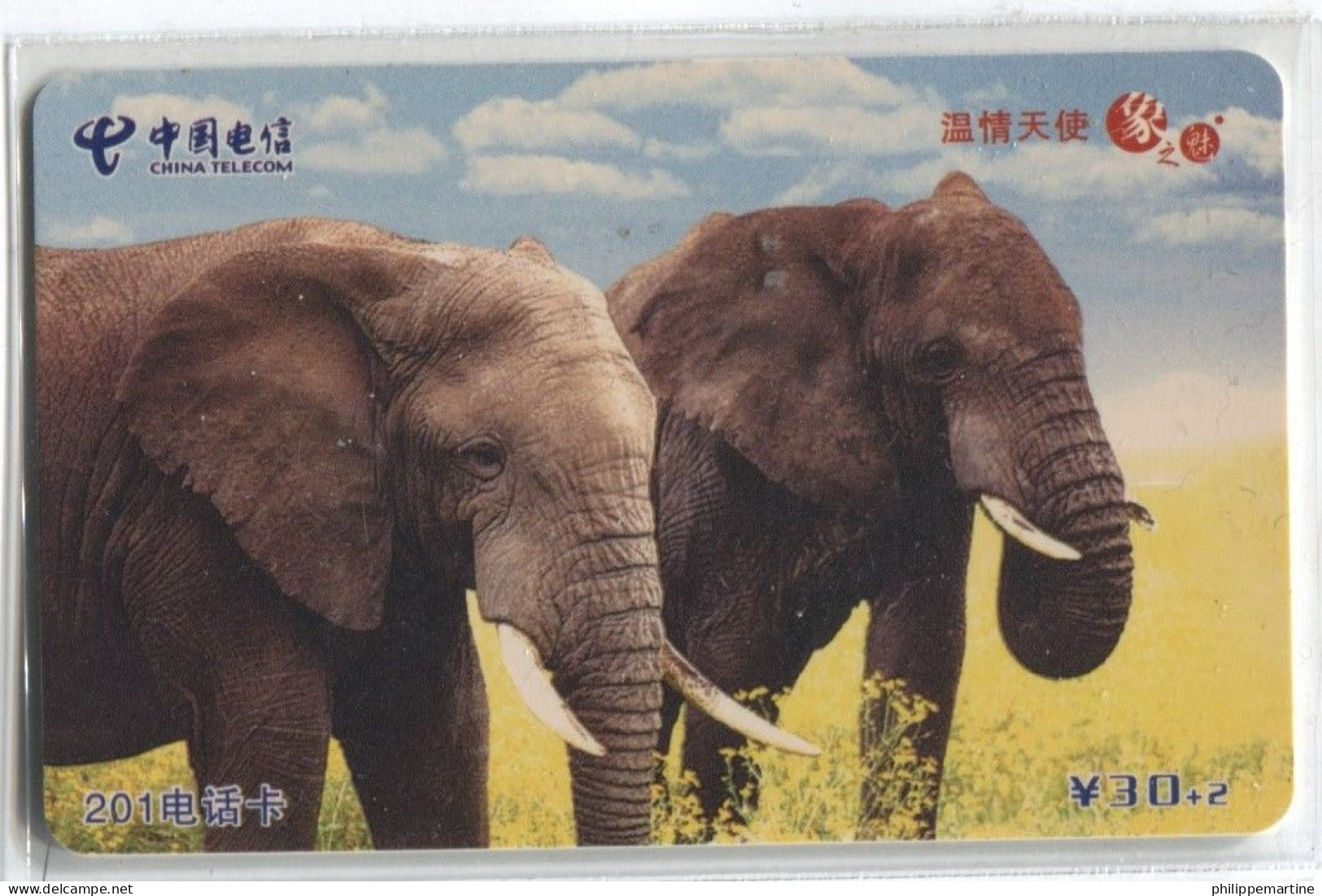 Télécarte China Telecom : Eléphants - Jungle