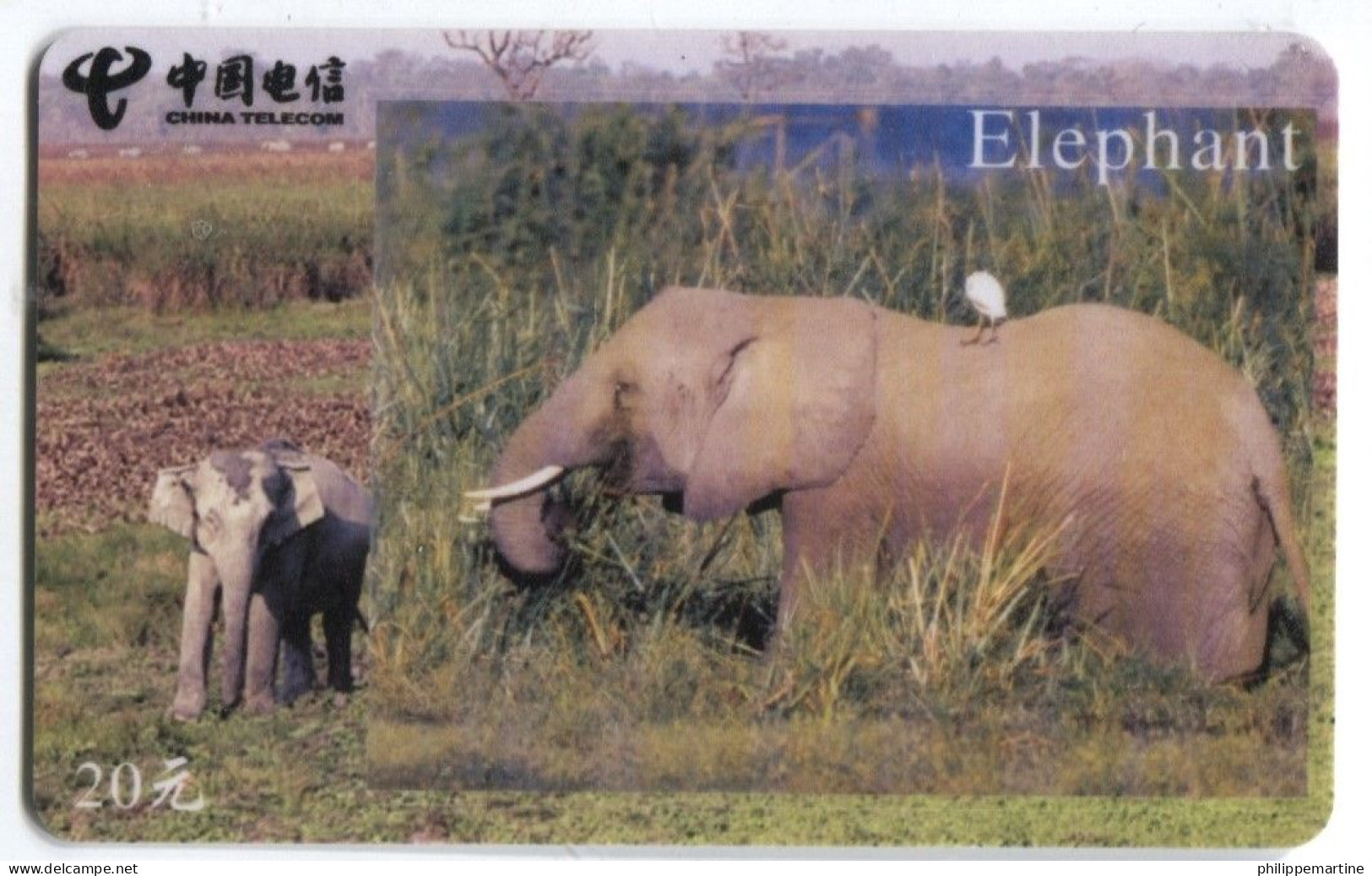 Télécarte China Telecom : Eléphants - Selva