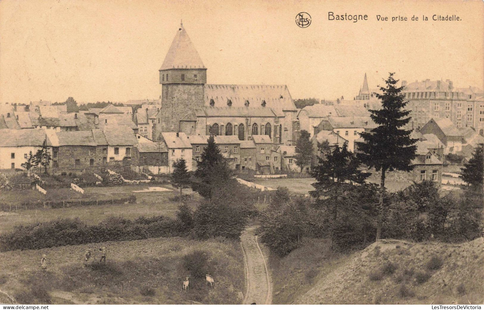 BELGIQUE - Bastogne - Vue Prise De La Citadelle - CARTE POSTALE ANCIENNE - Bastogne