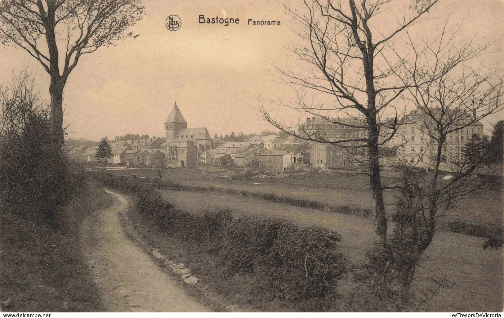 BELGIQUE - Bastogne - Panorama - CARTE POSTALE ANCIENNE - Bastogne