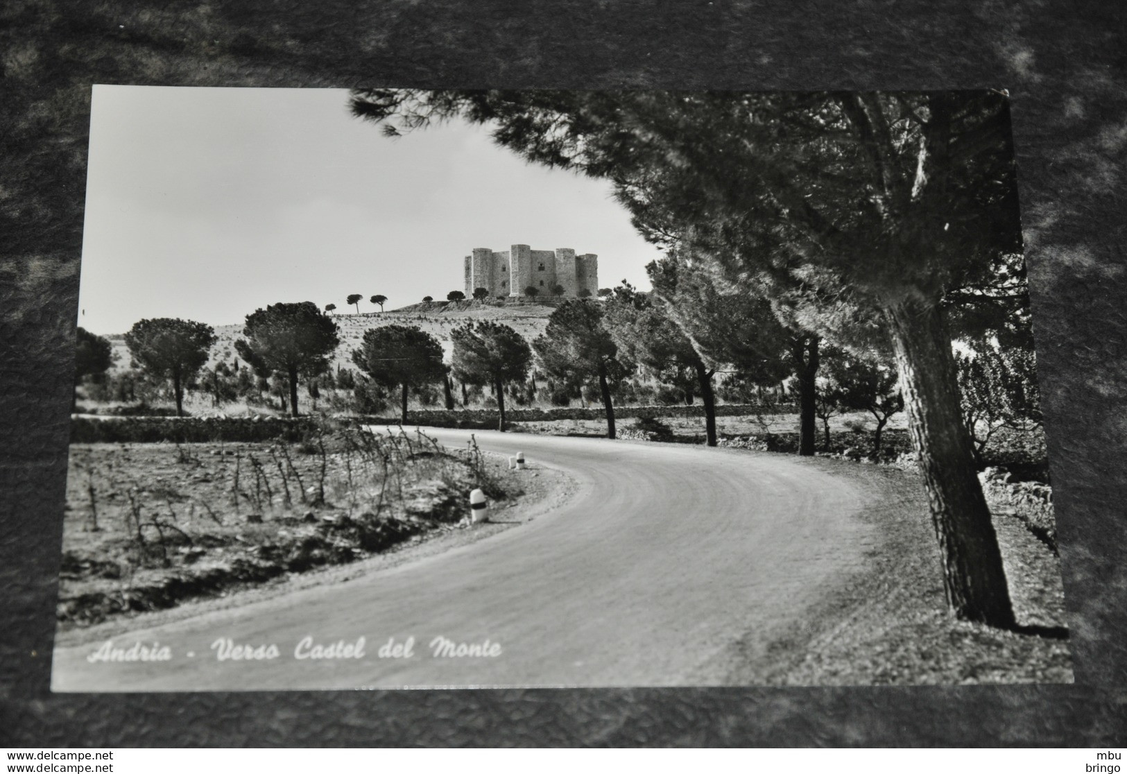 A4128  ANDRIA, VERSO CASTEL DEL MONTE - Andria