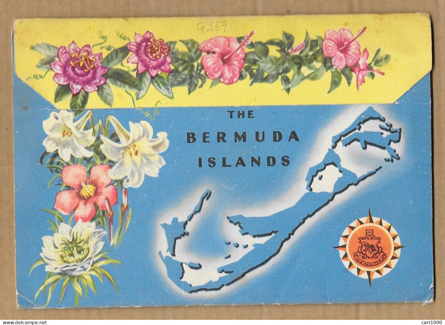 GREETINGS FROM BERMUDA 1954 HAMILTON N°G259 - Bermuda
