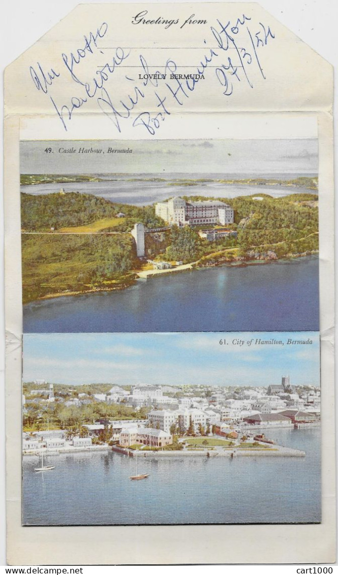 GREETINGS FROM BERMUDA 1954 HAMILTON N°G259 - Bermuda